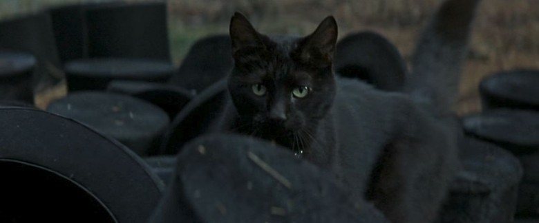 Şöyle bir deyiş vardır bilirsin "İnsan hayal gücünün sınırlarını aşar." ama yalan! "İnsanın hayal gücü, cesaretlerinin sınırlarını aşar.