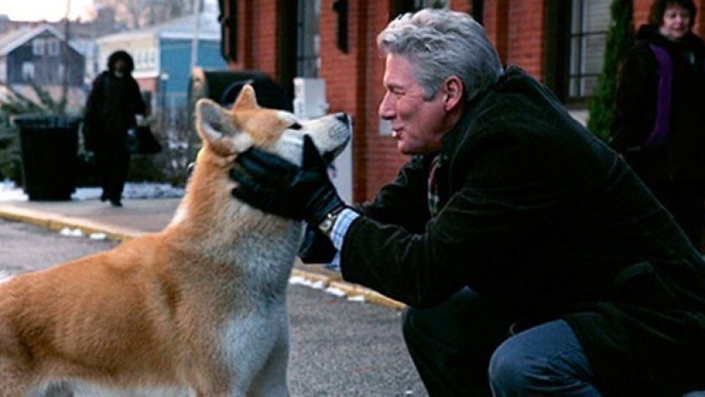 Hachi: Bir Köpeğin Dostluğu (A Dog's Tale) - 2009 Film İncelemesi