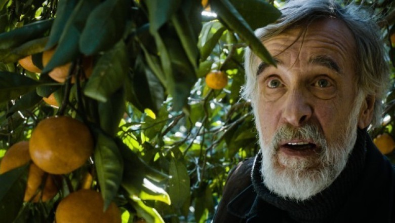 Mandalina Bahçesi (Mandariinid-Tangerines) - 2013 Film İncelemesi 