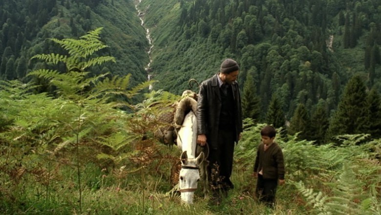 Bal - 2010 Film İncelemesi