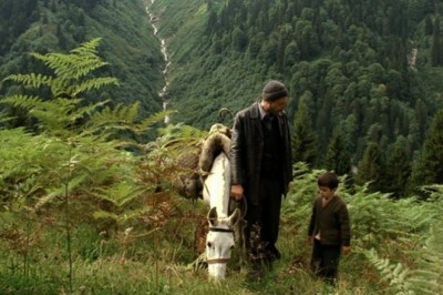 Bal - 2010 Film İncelemesi