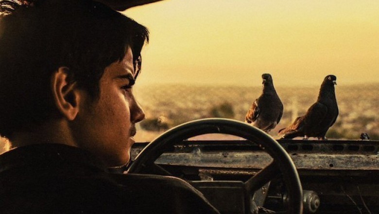 Güvercin Hırsızları - 2019 Film İncelemesi 