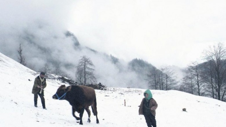 Kalandar Soğuğu / 2015 Film İncelemesi