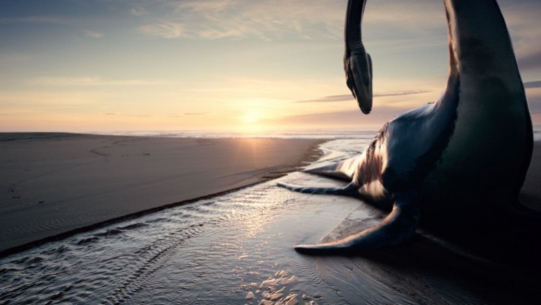 Hayat Ağacı (Tree of Life) - 2011 Film İncelemesi